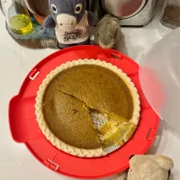 2024/11/28 パンプキンパイ Pumpkin Pie