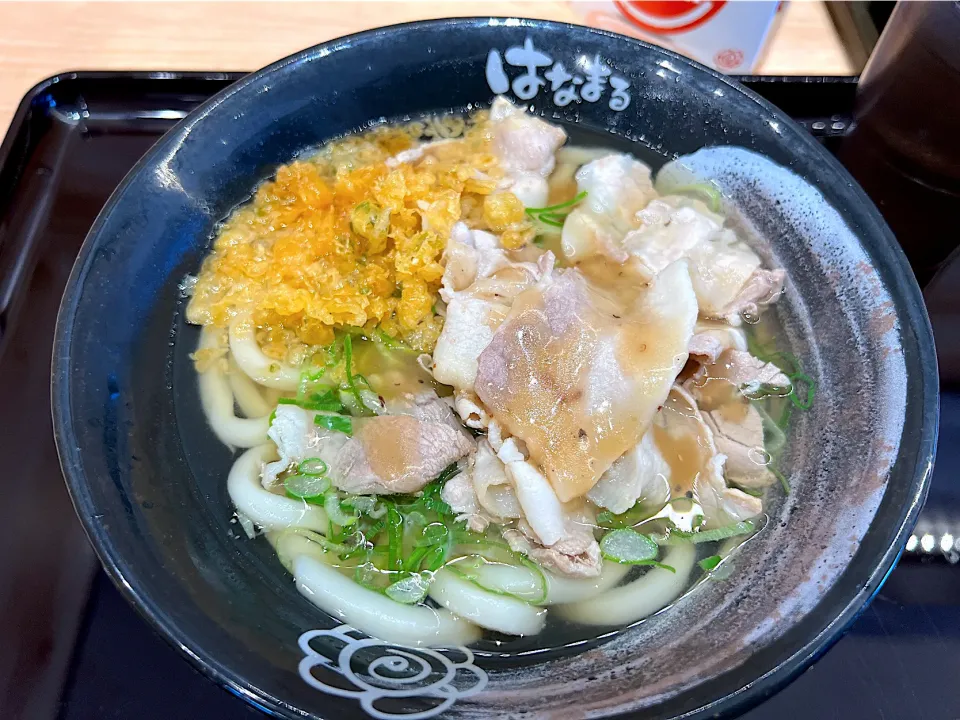 はなまるうどんで、塩豚ねぎうどん（小）|yokoさん