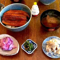 晩ごはん♯鰻丼♯紅芯大根甘酢♯ほうれん草おひたし|小松菜さん