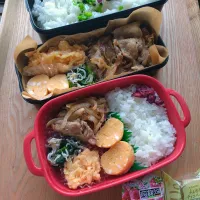 夫と娘のお弁当|みわさん