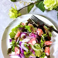 なかののきらめきサラダ🥗|オーロラさん