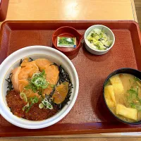 サーモンいくら丼|しのぶさん