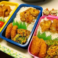 夫弁当､息子弁当､私弁当|みどりさん