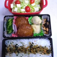 🍀2024/1203(月)ハンバーグ弁当|ともちんさん