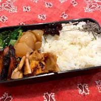 202412.3 息子弁当　◎豚味噌漬けグリル　◎ぶりの照り焼き　◎小松菜のナムル　◎玉蒟蒻　◎黒豆|goroさん