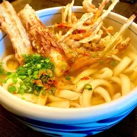 気まぐれ投稿     辻田の山椒•一味で          「ごぼうかき揚げ・ちくわ天うどん」|mottomoさん