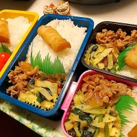 夫弁当､息子弁当､娘弁当､私弁当|みどりさん