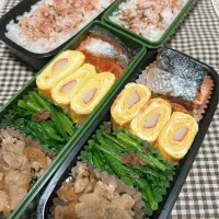 今日のお弁当 2024.12.4(Wed)|*seiko*さん