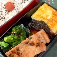 お弁当2024.12.3