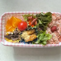 チキン南蛮弁当|みもざさん