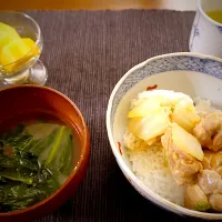 白菜と鶏ももの焼き鳥丼メインのお夕飯🌛最近忙しくて洗い物まで時短できるのがありがたい…|みーぬさん