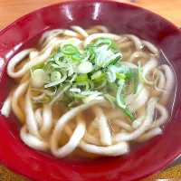 並うどん|ぶりっとさん