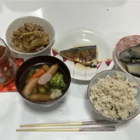 晩御飯☆塩鯖☆揚げなすの煮浸し☆豚ともやしの味噌炒め☆鶏そぼろ丼☆コンソメスープ（ウインナー・洋風野菜ミックス）|Saharaさん