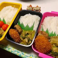 夫弁当､娘弁当､私弁当|みどりさん