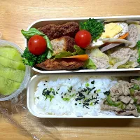 2024.12.5 お弁当|のりこ先生さん