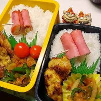 夫弁当､娘弁当|みどりさん