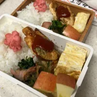 とりのピカタ弁当|たんぽぽさん