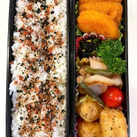 2024.12.5(木) パパのお弁当🍱|あっきーよさん