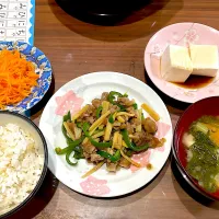 青椒肉絲　根菜の味噌汁　湯豆腐　人参の柚子ラペ|おさむん17さん