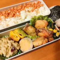 次男弁当&おにぎり