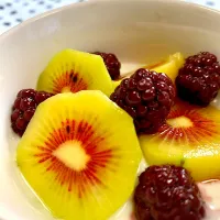 Fruit and Yogurt|gonbenさん