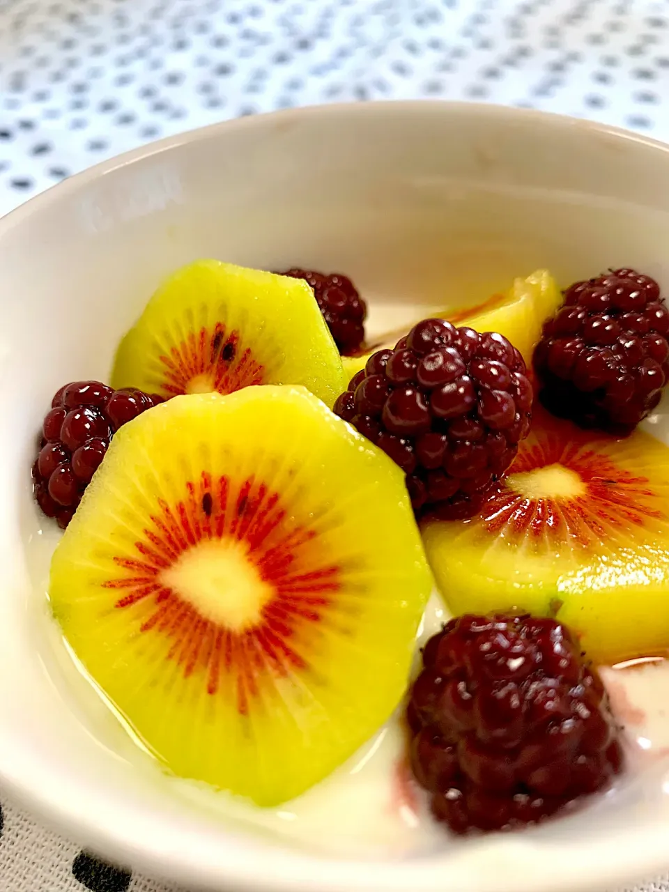Fruit and Yogurt|gonbenさん