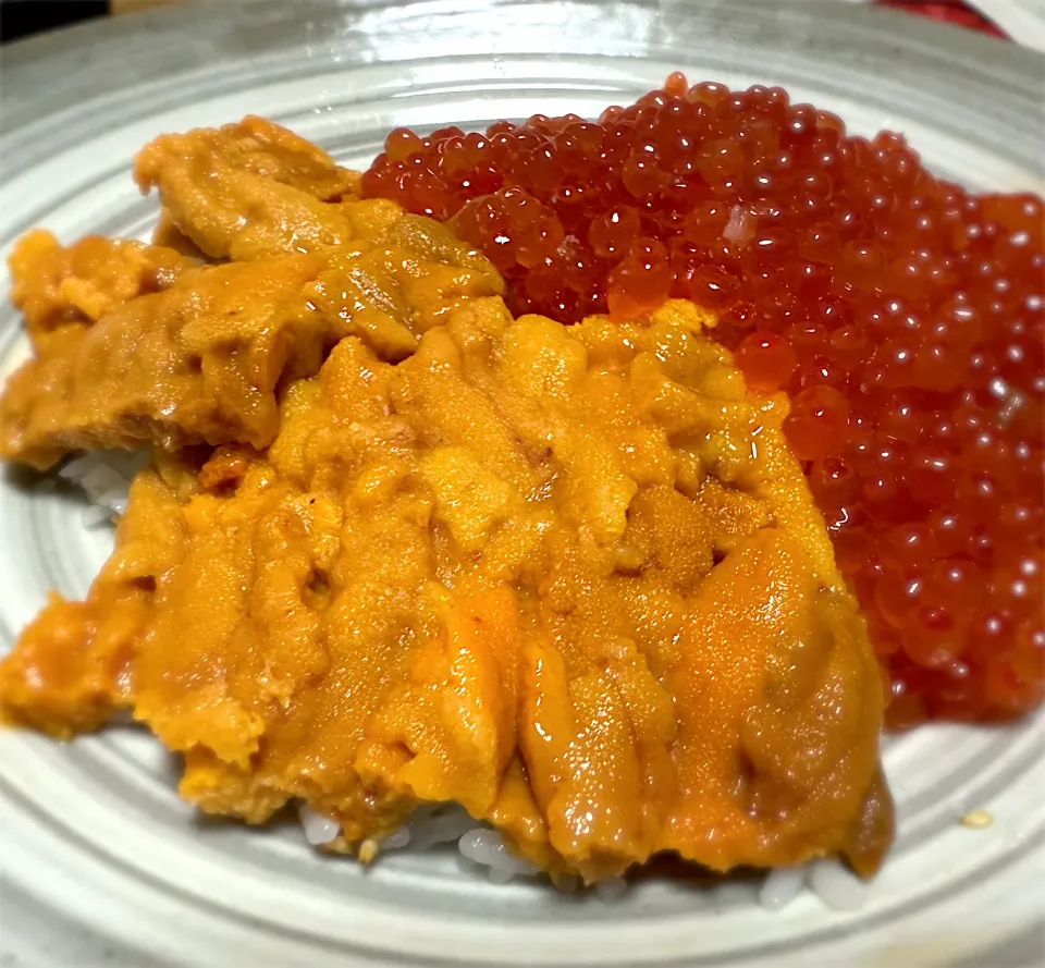 ウニいくら丼✨|buhizouさん