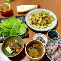 豚ロースを塩糀パウダーで五分柔らかくしてから味噌漬けして一晩置いてお野菜と炒めたものをサンチェにマヨと巻いて食べた創作料理🍀|さくたえさん