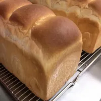 明日のパン💦
「トースト用のイングリッシュ.ブレッド🍞・・」|ばくあんしゃさん