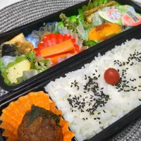 12月9日お弁当|鈴木さとしさん