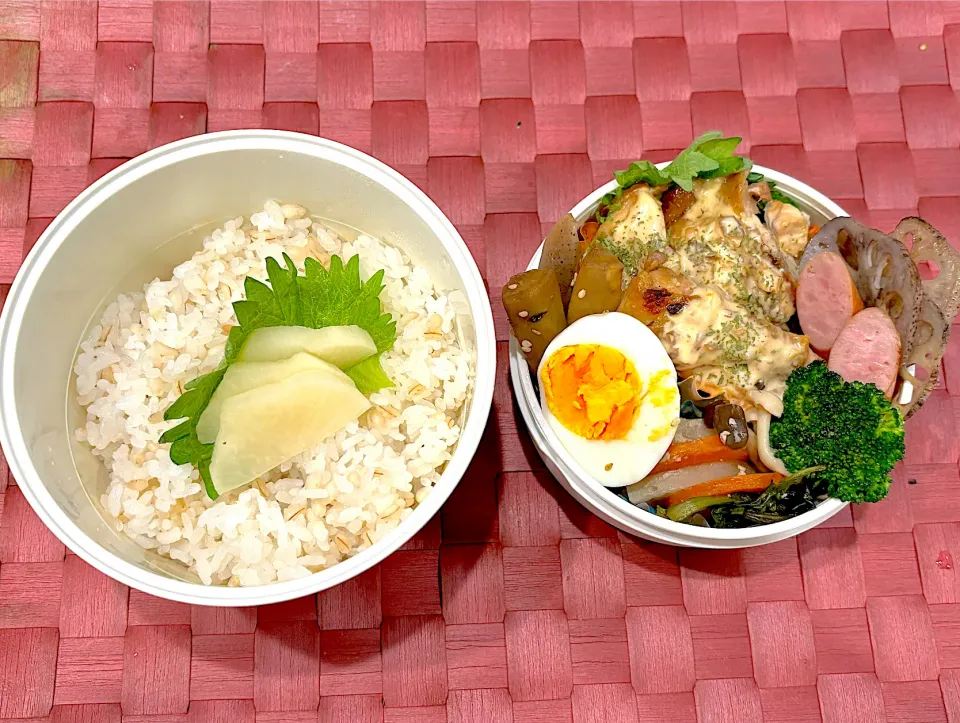 中学生息子のお弁当🍱 鶏肉の照焼きタルタルソース弁当🍱|Snow10さん