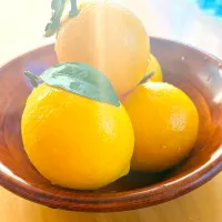 お庭のレモン🍋|みうのすけさん