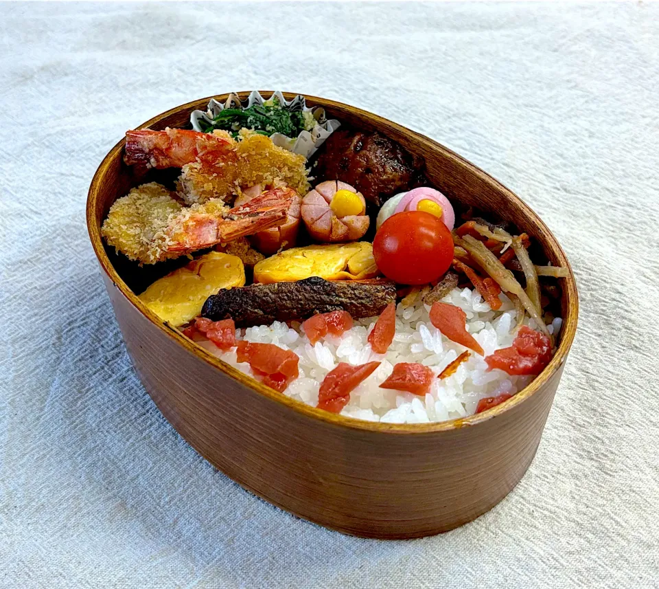 娘のお弁当|かっちゃん杉さん