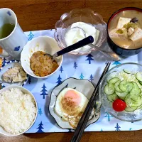 朝食です|マースさん