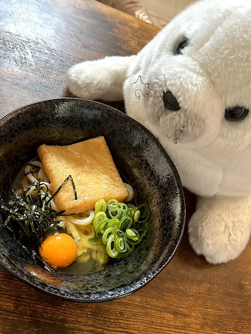 たぬき月見海苔ネギうどん👍|てるさん