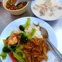 Typical Thai Dish we called 'Khao Rad Gaang' ข้าวราดแกง 😋|An'leeさん