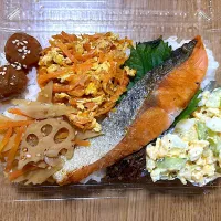 鮭弁当🐟|望さん