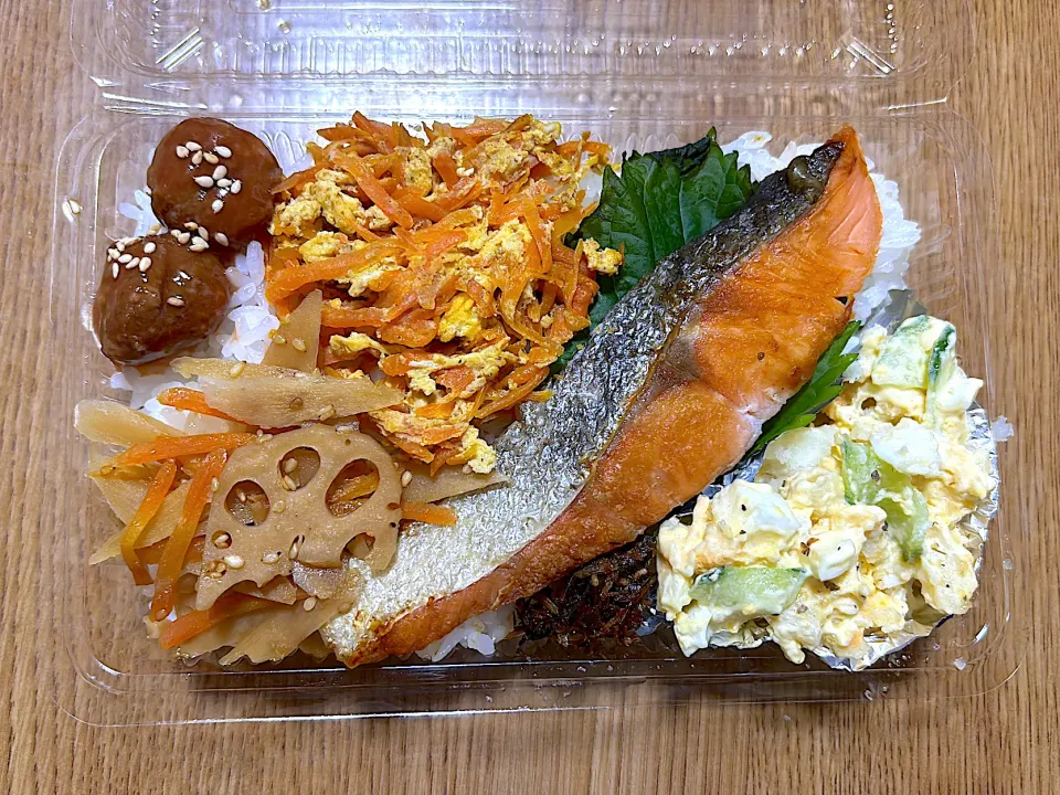 鮭弁当🐟|望さん