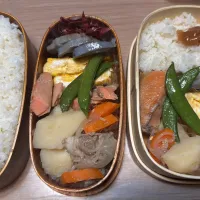 肉じゃが弁当🍱|ふみふみさん