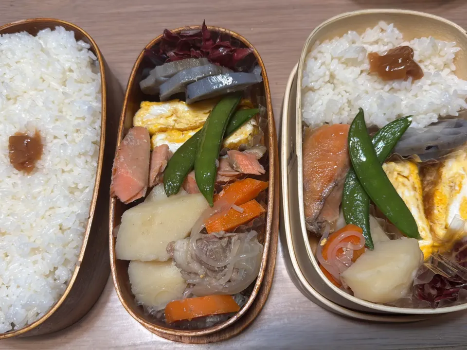 肉じゃが弁当🍱|ふみふみさん