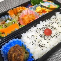 12月11日お弁当|鈴木さとしさん