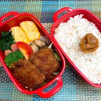 今日の旦那さんのお弁当|naoさん