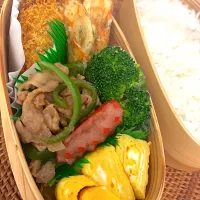 今日のお弁当|ようちゃんさん