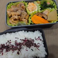 三男のお弁当|伊藤央さん