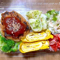 ハンバーグ弁当|望さん