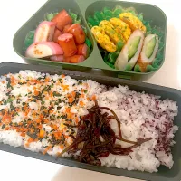 息子のお弁当🌈12/13（金）