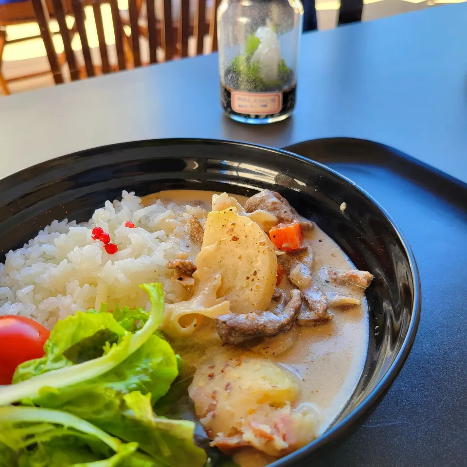 苔テラリウムのワークショップ後　　　　ビーフストロガノフ　今日のランチ|みるくここあさん