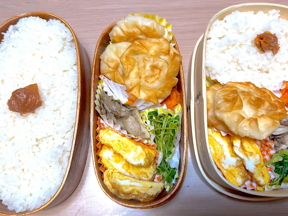 揚げ餃子弁当🍱|ふみふみさん