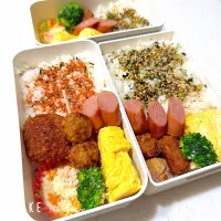 今日のお弁当| HITOMInさん