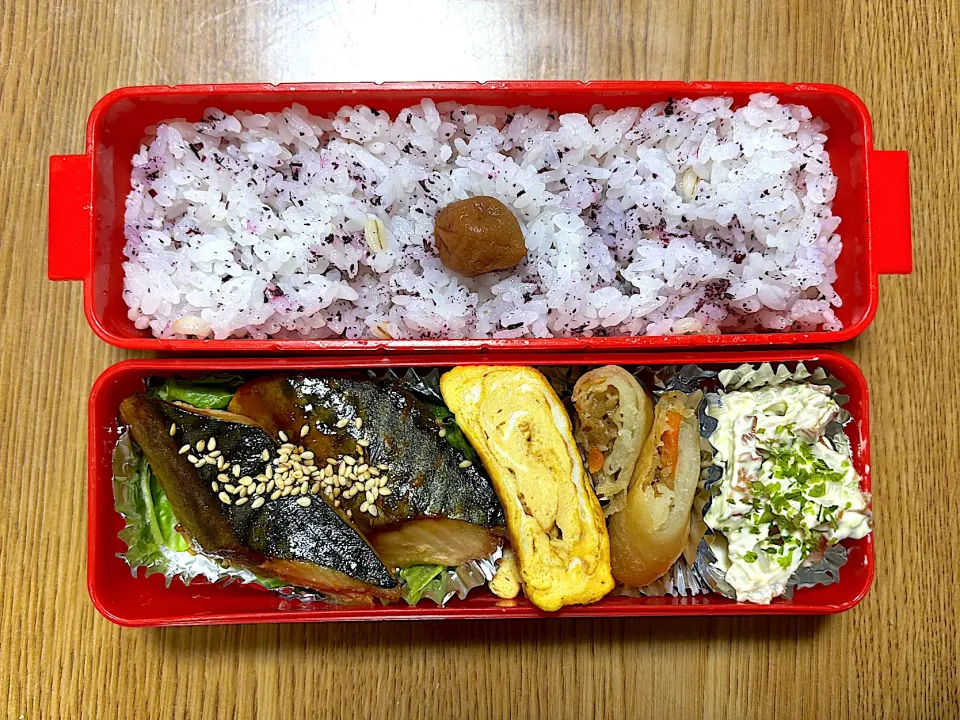 鯖味噌弁当|望さん